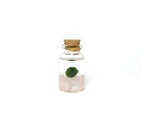 Moss Niño - Rose Quartz