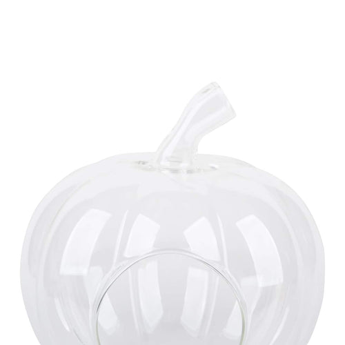 Glass Pumpkin Terrarium