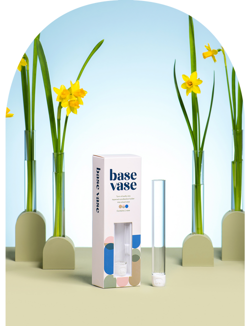 Clear Base Vase 1-Pack