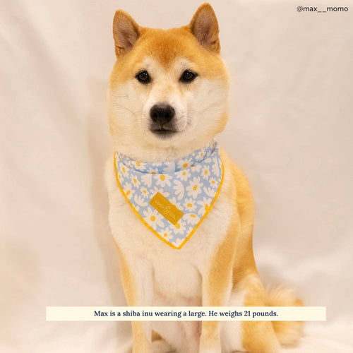 Dog Bandana - Simply Splendid