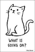 MAGNET: What is going on?