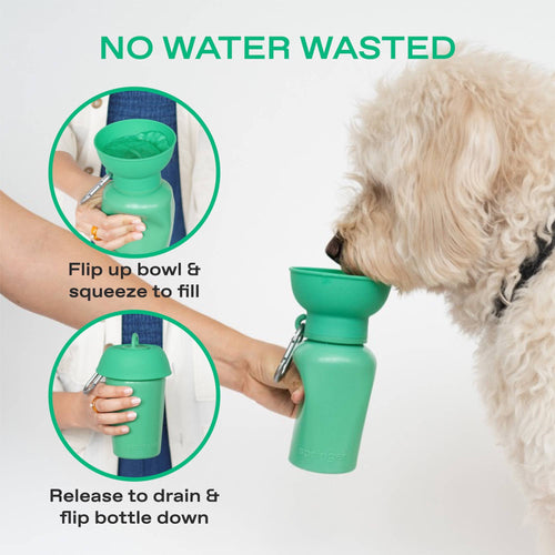 Dog Travel Water Bottle - 20oz Flip
