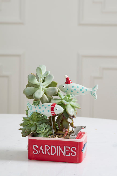 Sardine Tin Planter