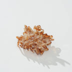 Maple Leaf Claw Clip