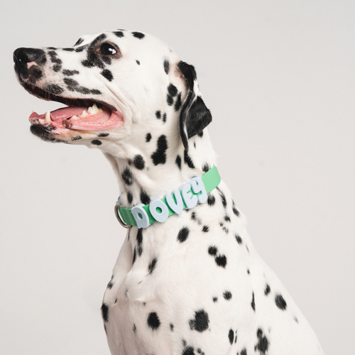 Silicone Dog Collar Charms