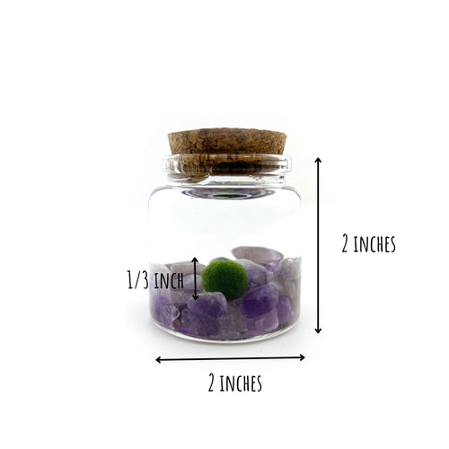 Moss Rico - Amethyst