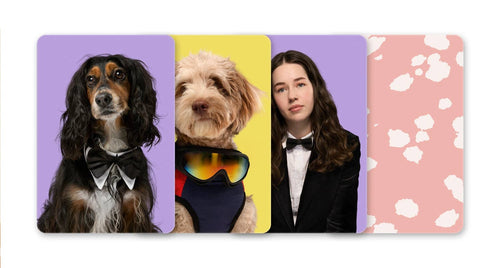 Do You Dress Like Your Dog? Matching Game
