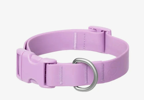 Waterproof & Adjustable Dog Collar (5 color options)