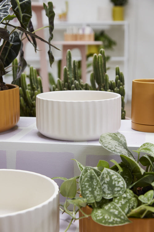 Beam Bowl Planter