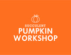 Succulent Pumpkin Workshop