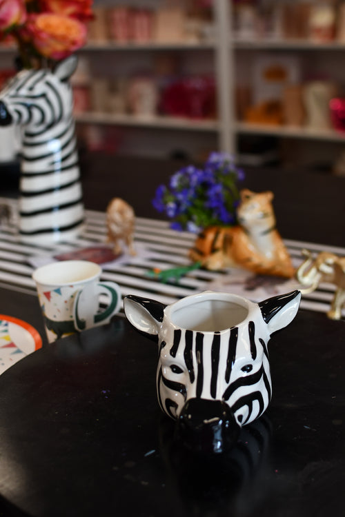 KIDS PARTY THEME: Safari