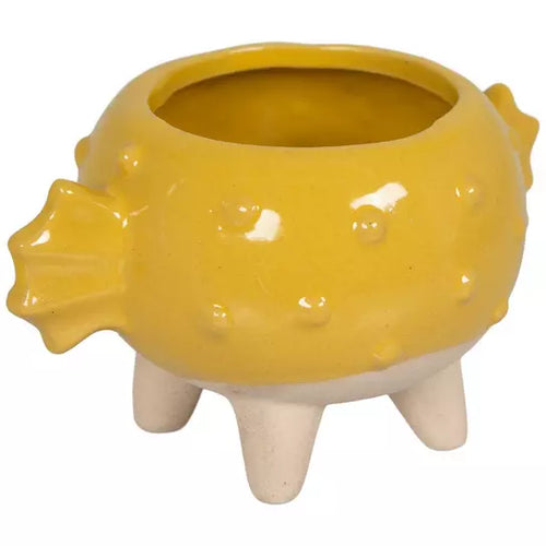 Pufferfish Planter