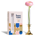 Clear Base Vase 3-Pack