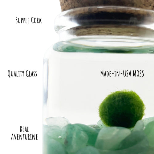 Moss Rico - Adventurine