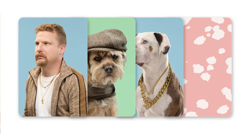 Do You Dress Like Your Dog? Matching Game