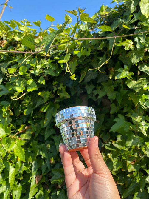 Mini 2.3 Inch Disco Planter Pot - Silver