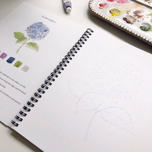 Watercolor Workbook - Flowers