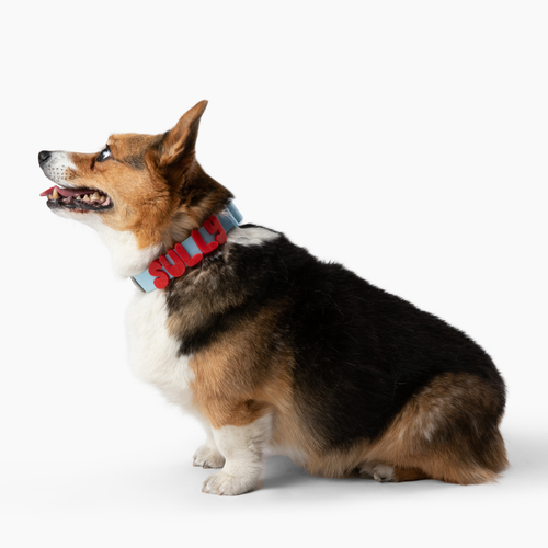 Silicone Dog Collar Charms