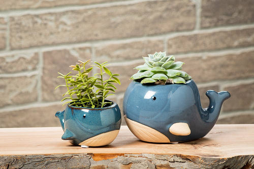 Blue Whale Planter Pot