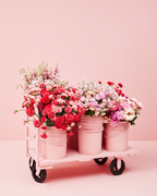 BLOOM BUCKET