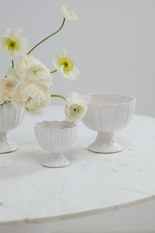 Meryl Compote