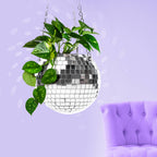 Disco Hanging Planter - Large 6"