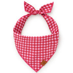 Dog Bandana - Raspberry Gingham