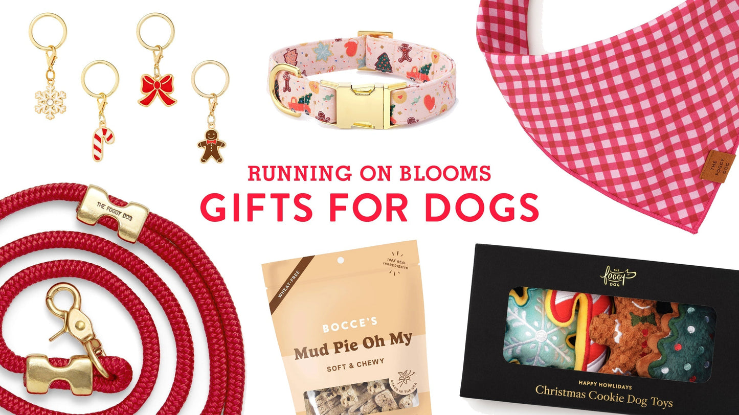 Holiday Gift Guide 2025 - For Dogs