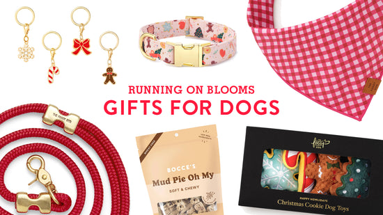 Holiday Gift Guide 2024 - Dogs