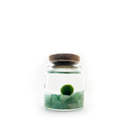 Moss Rico - Adventurine