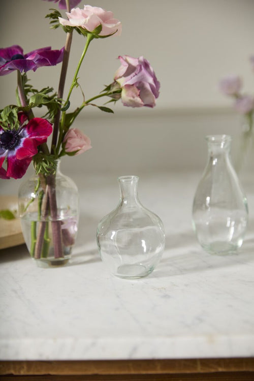 Marlena Budvase