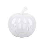 Glass Pumpkin Terrarium