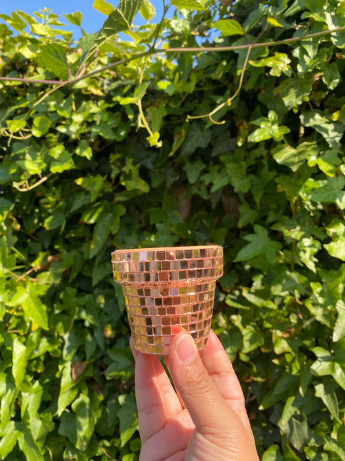 Mini 2.3 Inch Disco Planter Pot - Silver