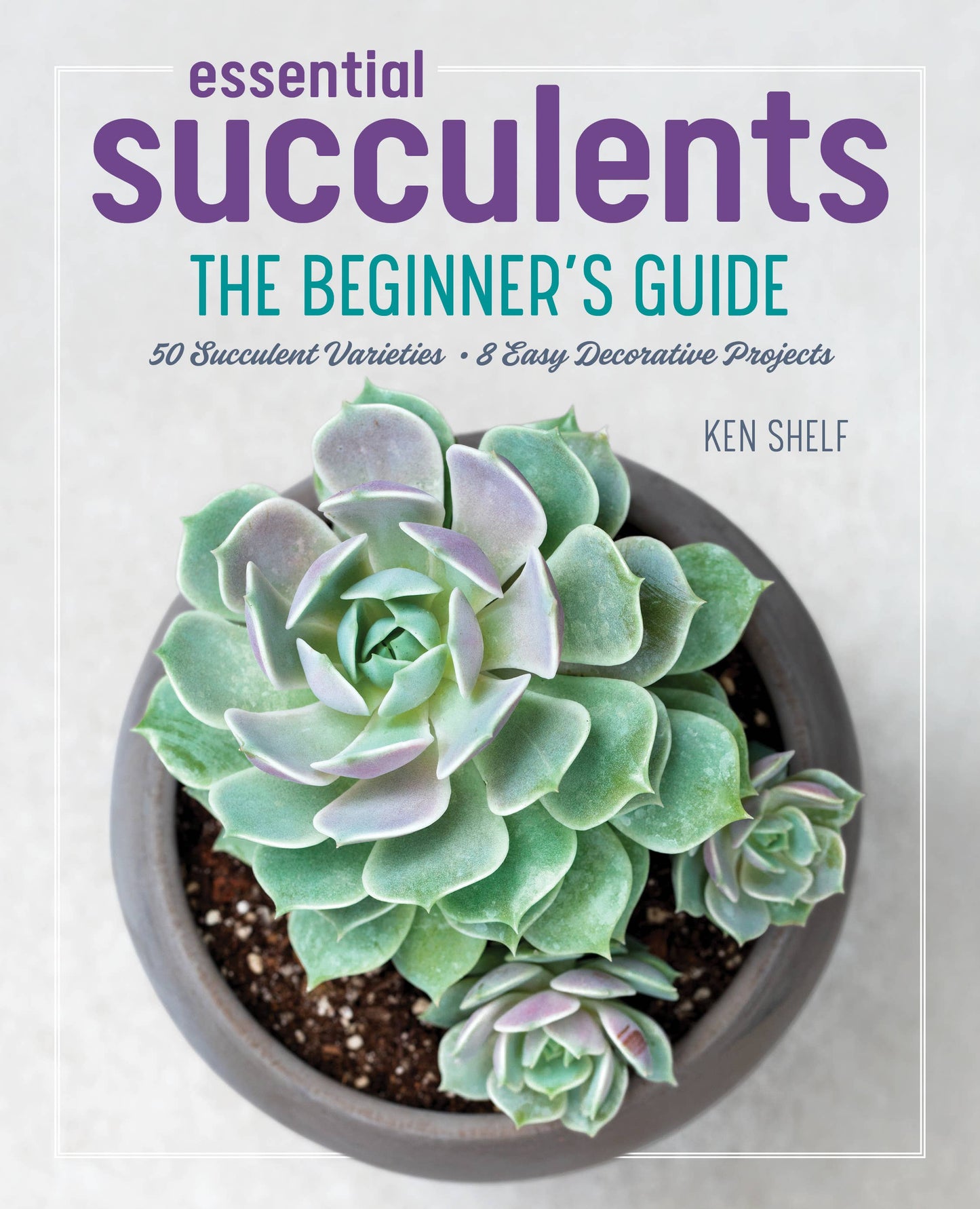 Essential Succulents Book