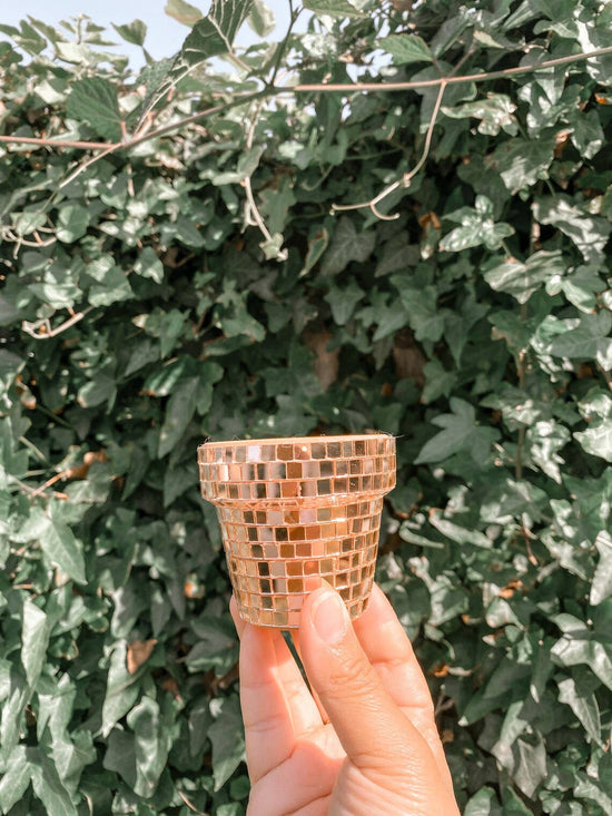 Mini 2.3 Inch Disco Planter Pot - Rose Gold