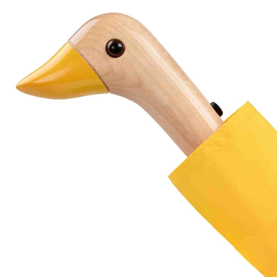 Solid Color Duck Umbrella
