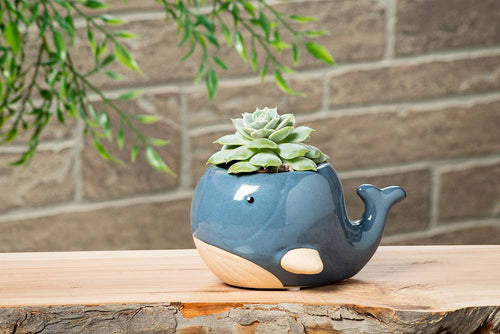 Blue Whale Planter Pot