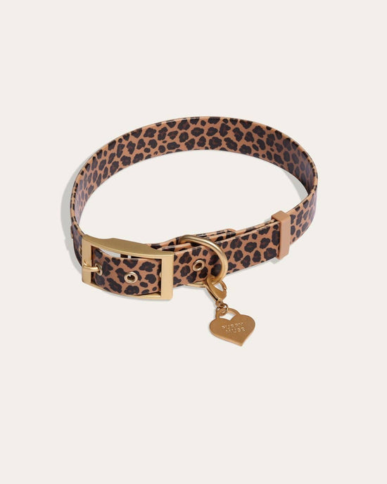 Waterproof Leopard Dog Collar