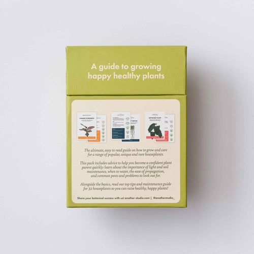 Houseplant Care Cards - Edition 2