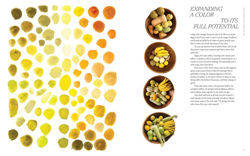Color Curious Book
