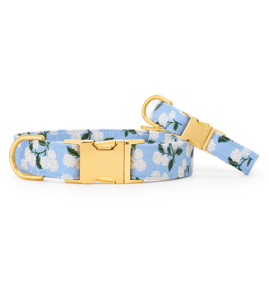 Rifle Paper Co. x TFD Hydrangea Spring Dog Collar: XS