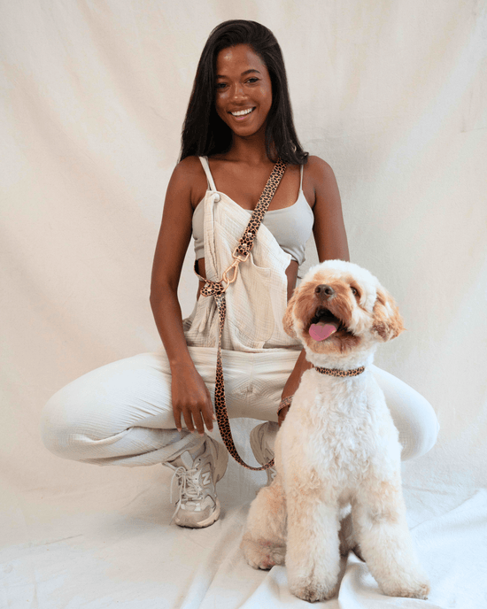 Waterproof Leopard Dog Collar