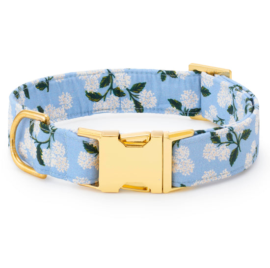 Rifle Paper Co. x TFD Hydrangea Spring Dog Collar: XS