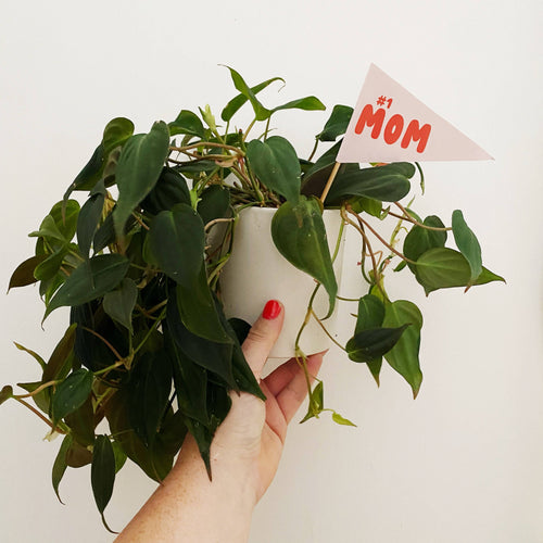 #1 MOM Paper Pennant Flag