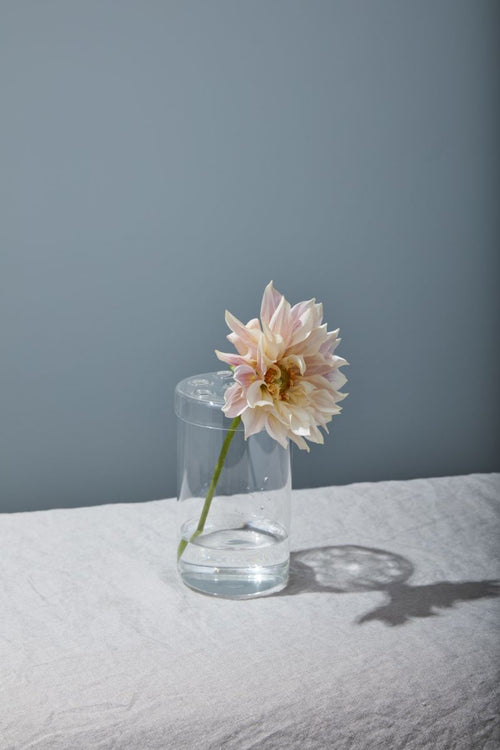 Signature Glass Frog Vase