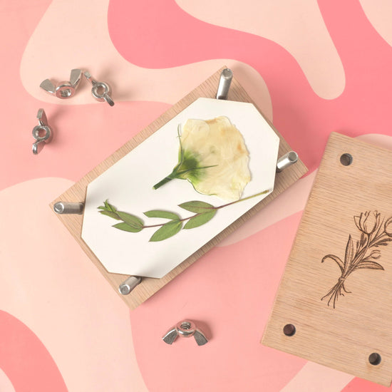 Small Oak Flower Press Kit
