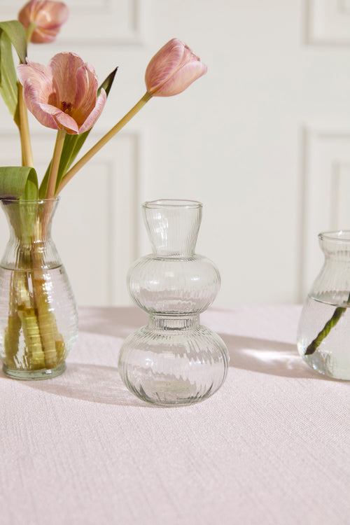 Jaden Budvase