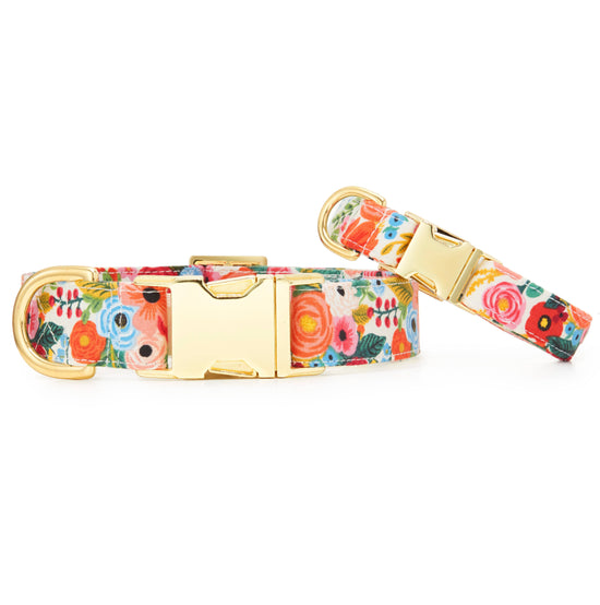 Rifle Paper Co. x TFD Garden Party Dog Collar: M/ Gold