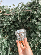 Mini 2.3 Inch Disco Planter Pot - Silver