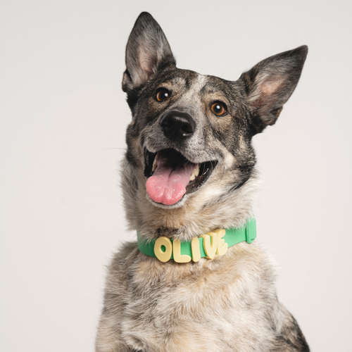 Silicone Dog Collar Charms
